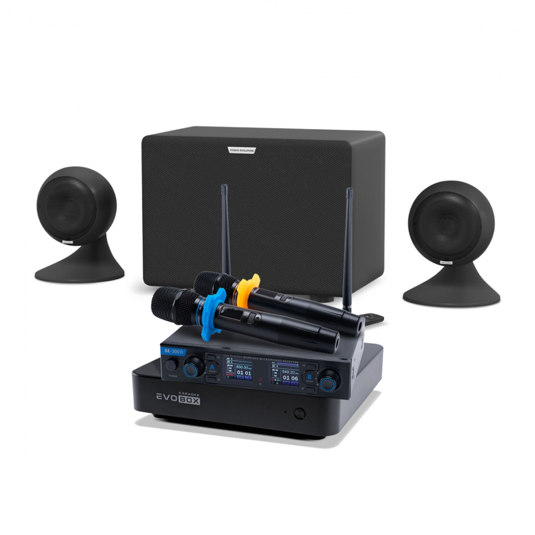 караоке-комплект EVOBOX + EvoSound Sphere 2.1 в Амурске