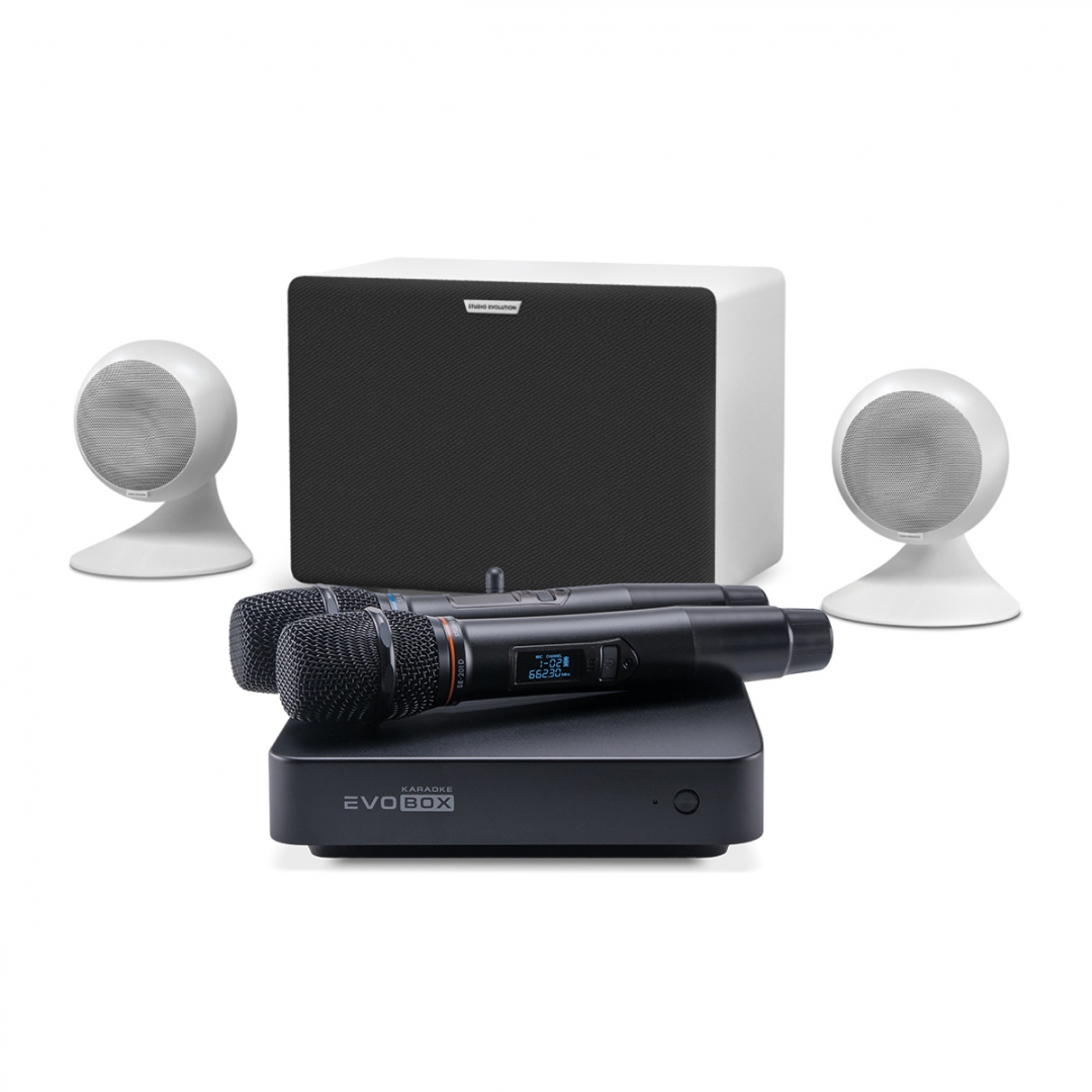 караоке-комплект EVOBOX Classic + EvoSound Sphere 2.1 в Амурске