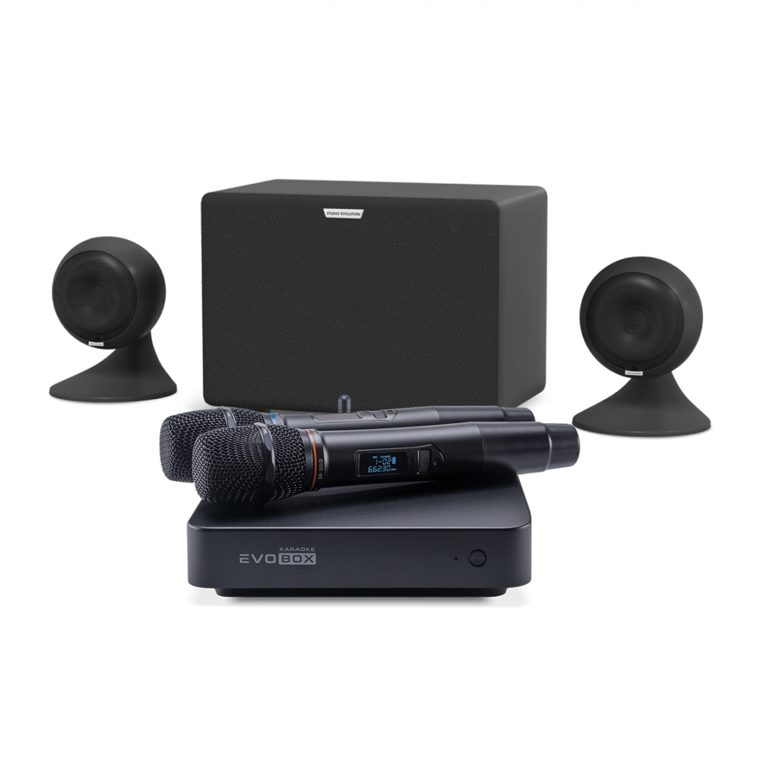караоке-комплект EVOBOX Plus + EvoSound Sphere 2.1 в Амурске