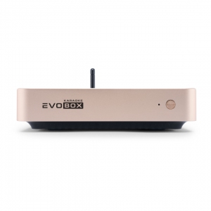 EVOBOX Plus караоке-система для дома в Амурске