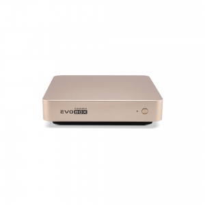 EVOBOX с микрофонами в Амурске